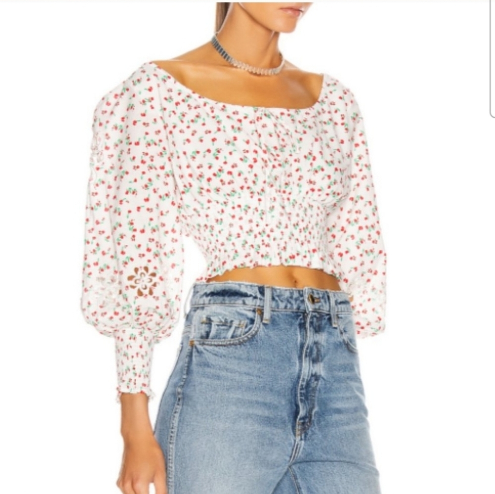FWRD RIXO Helena Cropped Cotton Top in Embroidered Ditsy Floral Print Size Small